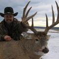 177 whitetail